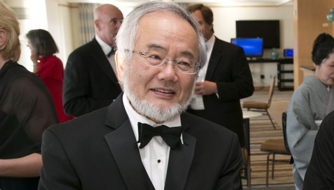 Yoshinori Ohsumi