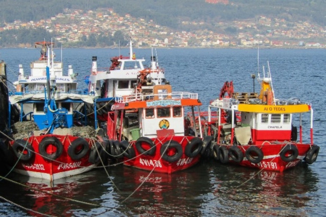 Archivo -    La cooperativa de Armadores de Pesca del Puerto de Vigo,