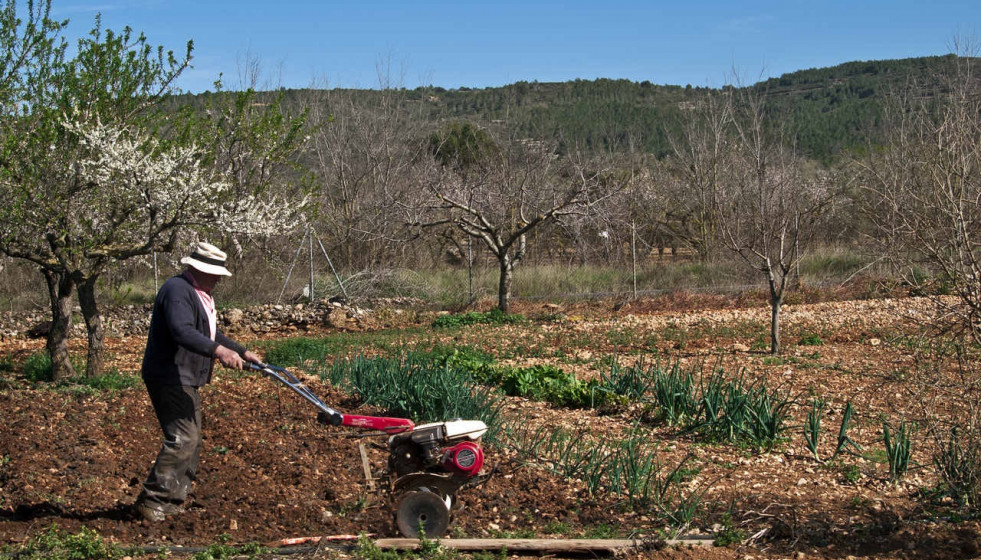 Archivo - Agricultor en el campo