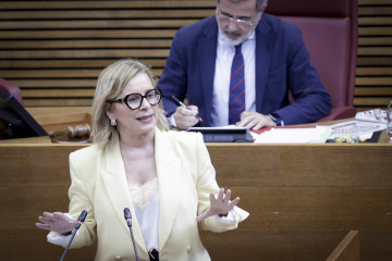 La portavoz de Economía y Hacienda del Grupo Popular, Mari Carmen Contelles