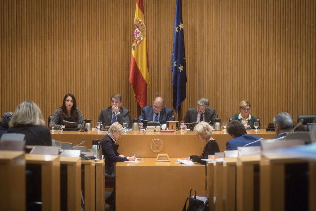 Archivo - Imagen de archivo del expresidente de la SEPI en una comisión de Industria del Congreso.