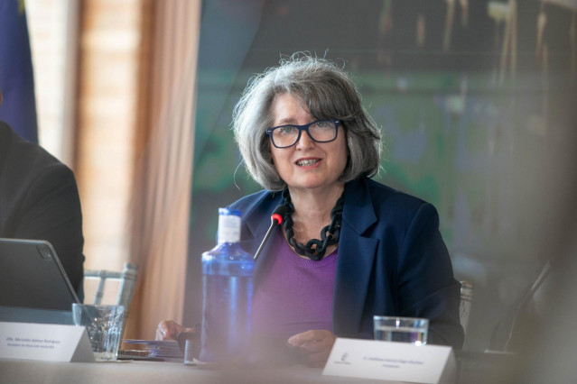 La consejera de Desarrollo Sostenible, Mercedes Gómez