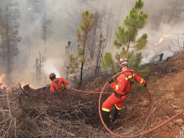 Archivo - Efectivos de extinción de incendios en los trabajos para acabar con el fuego del incendio forestal de Garafía