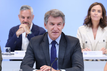 El presidente del Partido Popular, Alberto Núñez Feijóo, preside la reunión del Comité Ejecutivo Nacional del partido, a 28 de julio de 2025, en Madrid (España).