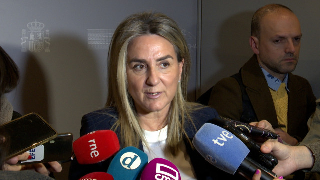 Archivo - La delegada del Gobierno, Milagros Tolón, en una foto de archivo.