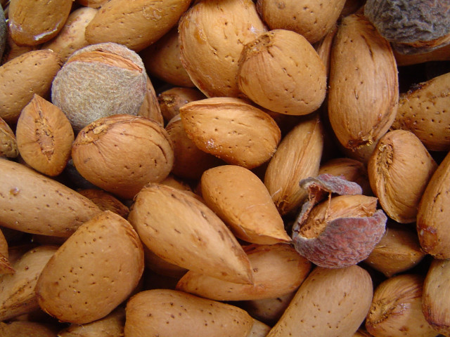 Archivo - Almendras.