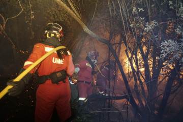 Militares de la UME colaboran en las labores de extinción de un incendio.