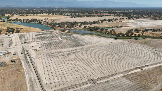 Terrenos donde se construirá la nueva fotovoltaica