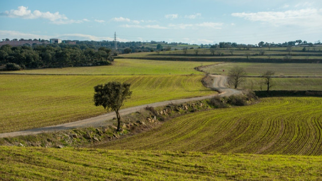 Archivo - Explotaciones agrícolas.