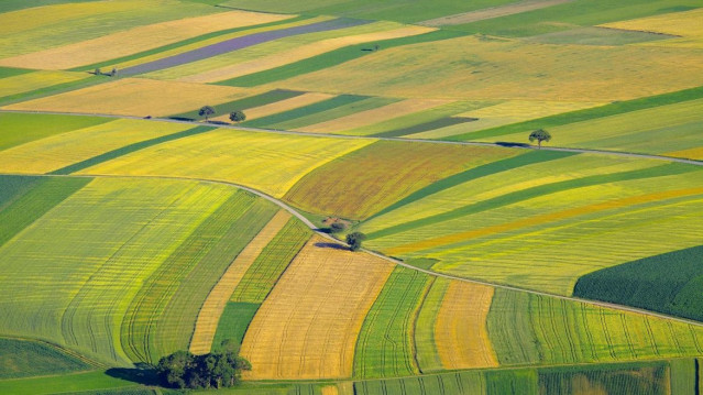 Archivo - Concentración parcelaria, tierras, parcelas, agricultura