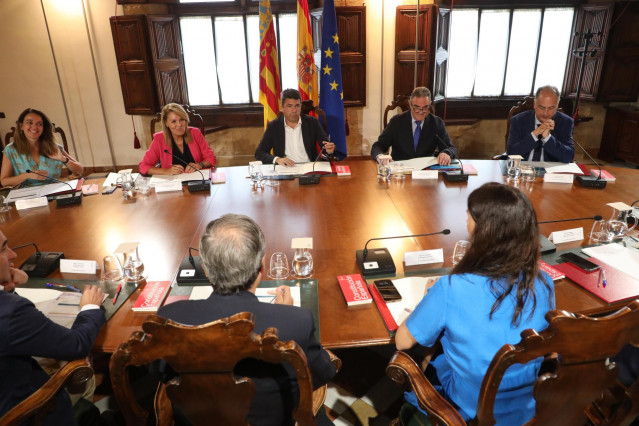 Imagen del pleno del Consell