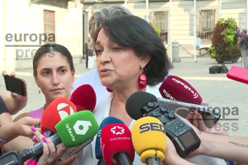Más Madrid