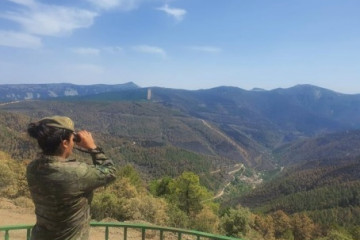 EuropaPress 4600365 militar ejercito tierra operacion lucha contra incendios castilla leon