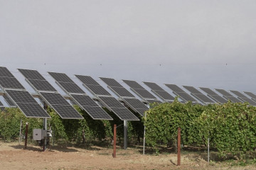 Proyecto Wine Solar de Iberdrola