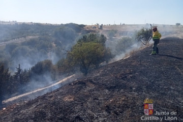 Archivo - Incendio en el Bosque de Valorio de Zamora.