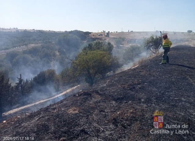 Archivo - Incendio en el Bosque de Valorio de Zamora.