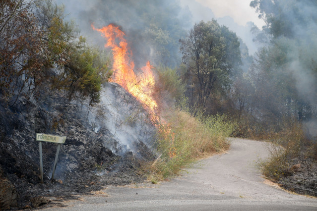 Incendio forestal en Galicia