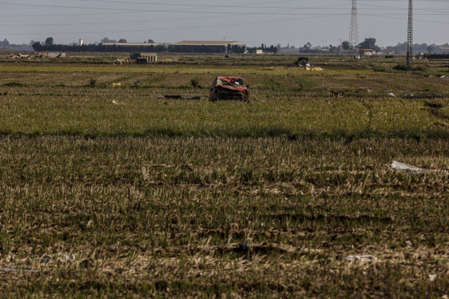 Archivo - Restos de la DANA en un campo de arrozales en las inmediaciones de l'Albufera tras las inundaciones.