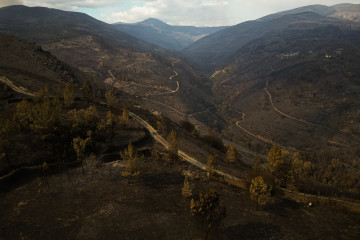 Vista aérea tras el incendio, a 20 de agosto de 2025, en Cernego, Ourense, Galicia (España).