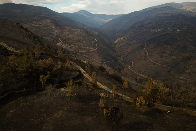 Vista aérea tras el incendio, a 20 de agosto de 2025, en Cernego, Ourense, Galicia (España).