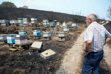 El alcalde de A Gudiña, Néstor Ogando, visita sus colmenas quemadas por los incendios
