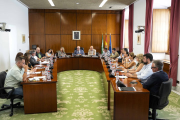Archivo - Reunión de la Diputación Permanente del Parlamento andaluz. (Foto de archivo).