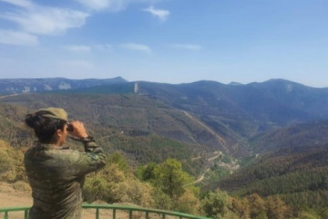 EuropaPress 4600365 militar ejercito tierra operacion lucha contra incendios castilla leon