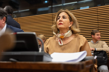 La diputada nacional del PP Isabel Borrego