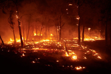 Incendio forestal
