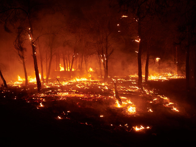 Incendio forestal