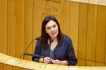 La portavoz de Medio Rural del PSdeG en el Parlamento, Carmen Dacosta.