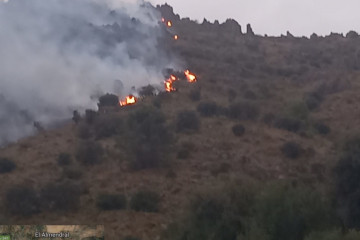 Incendio en el término municipal de Alhama de Granada.