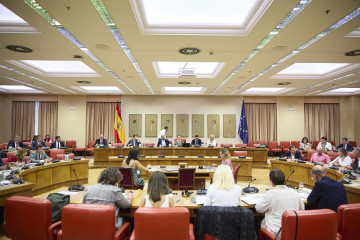 Vista general de la reunión de la Diputación Permanente, en el Congreso de los Diputados, a 26 de agosto de 2025, en Madrid (España).