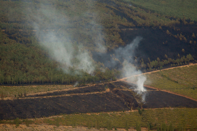 Paraje de Asturias tras uno de los incendios de este verano