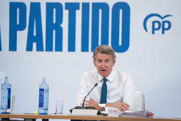 El presidente del PP, Alberto Núñez Feijóo, durante la reunión del Comité de Dirección del partido.