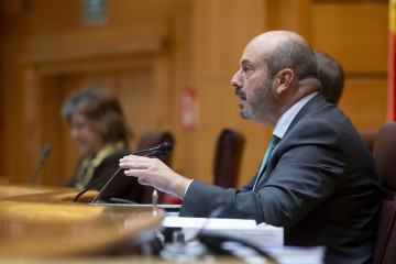 Archivo - El presidente del Senado, Pedro Rollán, interviene durante una sesión de control al Gobierno, en el Senado, a 29 de octubre de 2024, en Madrid (España).