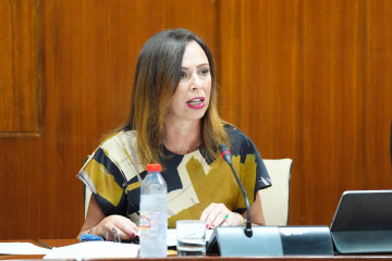 Archivo - La consejera de Fomento, Rocío Díaz, en comisión. Imagen de archivo.