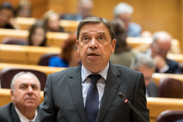 Archivo - El ministro de Agricultura, Pesca y Alimentación, Luis Planas, durante la sesión plenaria del Senado, a 19 de noviembre de 2024, en Madrid (España).