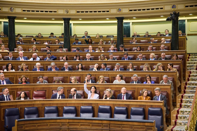 Archivo - La bancada del PP vota durante una sesión plenaria, en el Congreso de los Diputados, a 20 de mayo de 2025, en Madrid (España).