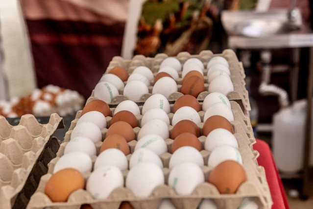 Recursos de huevos.
