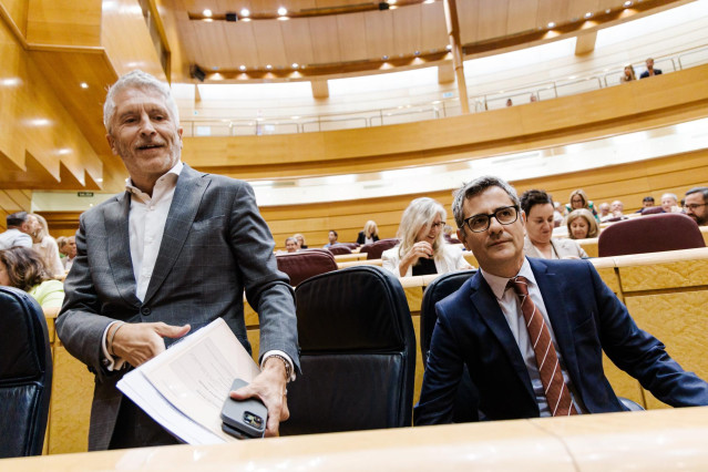El ministro del Interior, Fernando Grande Marlaska (i) y el ministro de la Presidencia, Justicia y Relaciones con las Cortes, Félix Bolaños (d), durante una sesión de control al Gobierno en el Senado