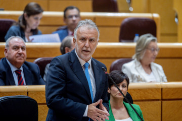 Archivo - El ministro de Política Territorial y Memoria Democrática, Ángel Víctor Torres, interviene durante un pleno en el Senado. Archivo.