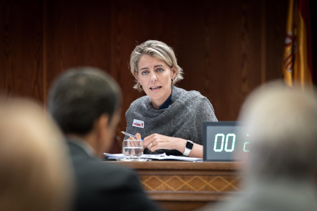 La directora de Regulación de la Asociación de Empresas de Energía Eléctrica (AELEC), Marta Castro Pérez-Chirinos, comparece ante la Comisión de Investigación sobre la interrupción del suministro eléctrico y de las comunicaciones el 28 de abril de 2025, e