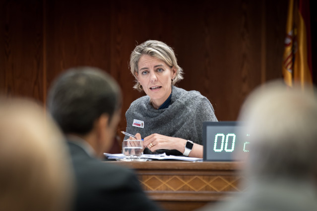 La directora de Regulación de la Asociación de Empresas de Energía Eléctrica (AELEC), Marta Castro Pérez-Chirinos, comparece ante la Comisión de Investigación sobre la interrupción del suministro eléctrico y de las comunicaciones el 28 de abril de 2025, e