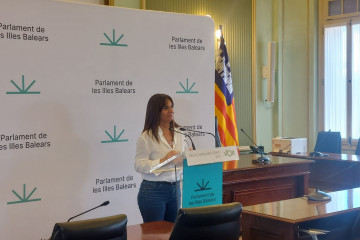 La portavoz de Vox en el Parlament, Manuela Cañadas, durante una rueda de prensa.