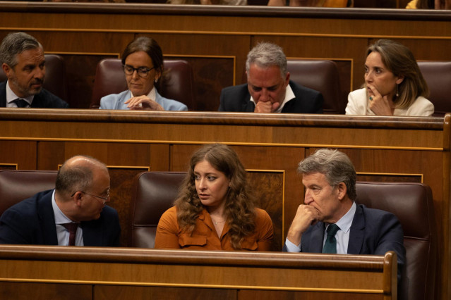 Archivo - (I-D) El secretario general del PP, Miguel Tellado; La portavoz del PP en el Congreso, Ester Muñoz y el presidente del PP, Alberto Núñez Feijóo, durante una sesión plenaria extraordinaria, en el Congreso de los Diputados, a 22 de julio de 2025,