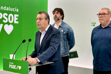 El secretario general del PSOE de Sevilla, Javier Fernández, en rueda de prensa.