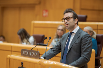 El ministro de Economía, Comercio y Empresa, Carlos Cuerpo, durante una sesión de control al Gobierno, en el Senado, a 30 de septiembre de 2025, en Madrid (España).