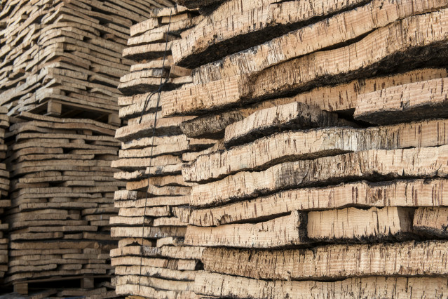 Archivo - Placas de corcho natural a la espera de ser estabilizadas con un primer hervido en la fábrica De Maria Taps S.L., en Cassà de la Selva, a 16 de junio de 2022, en Girona, Cataluña (España).