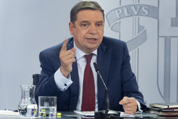 Archivo - El ministro de Agricultura, Pesca y Alimentación, Luis Planas, durante una rueda de prensa posterior a la reunión del Consejo de Ministros, en el Palacio de La Moncloa, a 9 de enero de 202